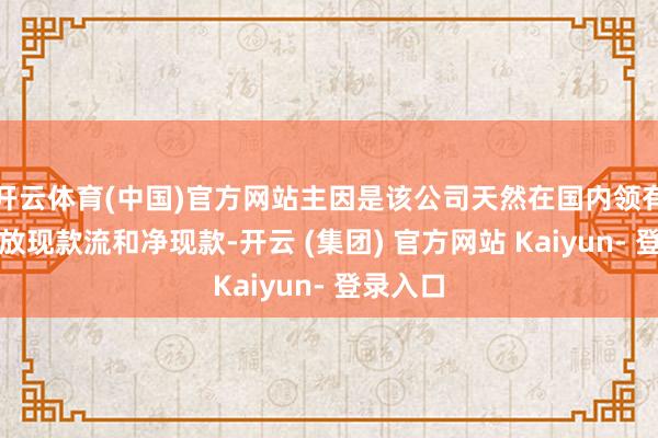 开云体育(中国)官方网站主因是该公司天然在国内领有无数解放现款流和净现款-开云 (集团) 官方网站 Kaiyun- 登录入口
