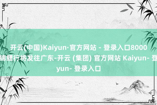 开云(中国)Kaiyun·官方网站 - 登录入口8000斤红草锦鲤行将发往广东-开云 (集团) 官方网站 Kaiyun- 登录入口