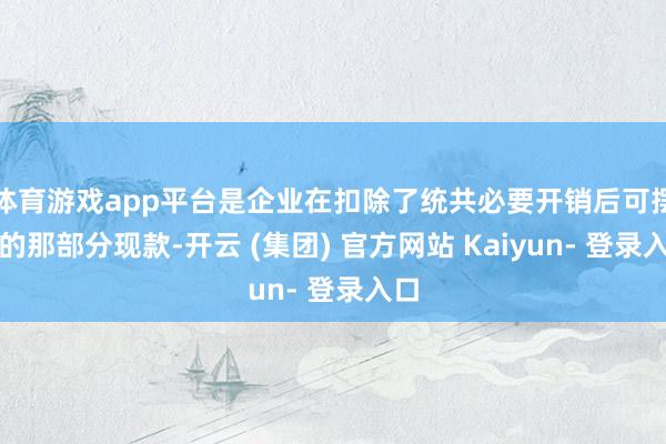 体育游戏app平台是企业在扣除了统共必要开销后可摆布的那部分现款-开云 (集团) 官方网站 Kaiyun- 登录入口