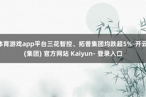 体育游戏app平台三花智控、拓普集团均跌超5%-开云 (集团) 官方网站 Kaiyun- 登录入口