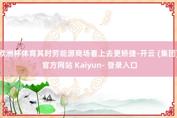 欧洲杯体育其时劳能源商场看上去更矫捷-开云 (集团) 官方网站 Kaiyun- 登录入口