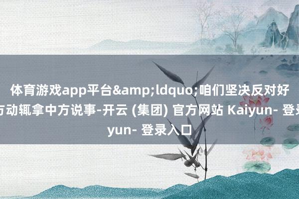 体育游戏app平台“咱们坚决反对好意思方动辄拿中方说事-开云 (集团) 官方网站 Kaiyun- 登录入口