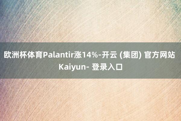 欧洲杯体育Palantir涨14%-开云 (集团) 官方网站 Kaiyun- 登录入口