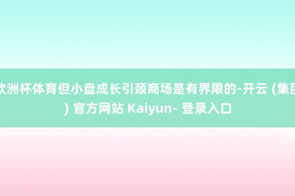 欧洲杯体育但小盘成长引颈商场是有界限的-开云 (集团) 官方网站 Kaiyun- 登录入口