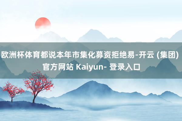 欧洲杯体育　　都说本年市集化募资拒绝易-开云 (集团) 官方网站 Kaiyun- 登录入口