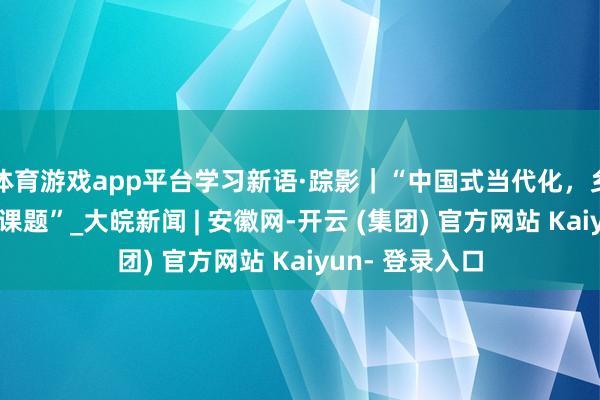 体育游戏app平台学习新语·踪影｜“中国式当代化，乡村振兴是个大课题”_大皖新闻 | 安徽网-开云 (集团) 官方网站 Kaiyun- 登录入口