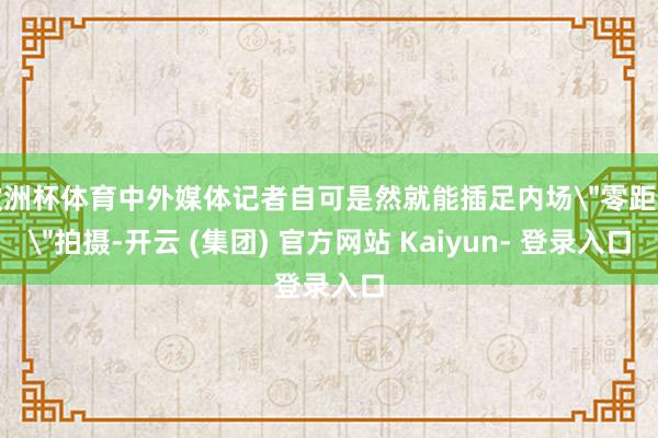 欧洲杯体育中外媒体记者自可是然就能插足内场