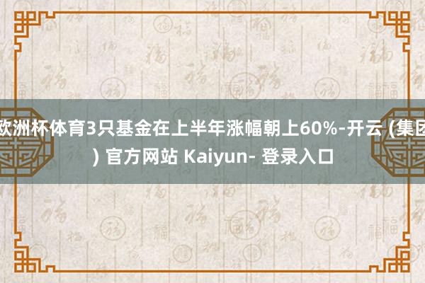 欧洲杯体育3只基金在上半年涨幅朝上60%-开云 (集团) 官方网站 Kaiyun- 登录入口